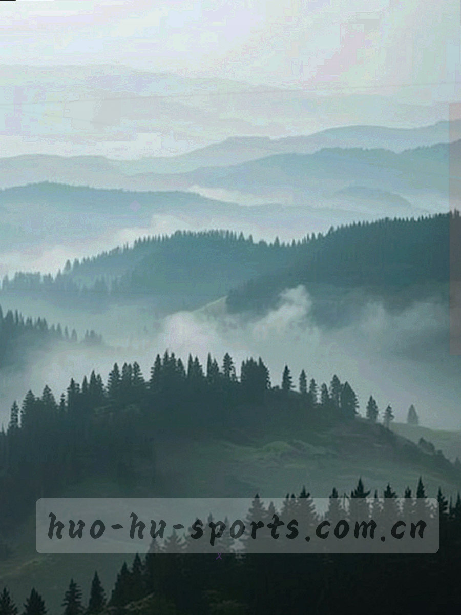 深色底上的射门与控球数据图表